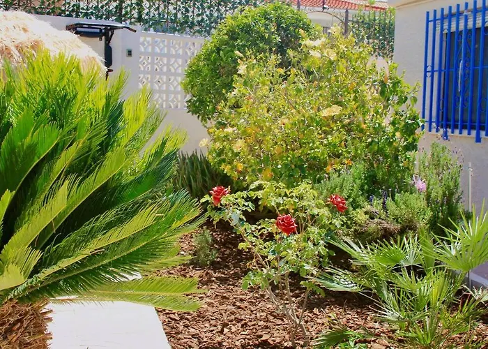 Entire By The Sea With Private Garden And Mini Pool 别墅 *