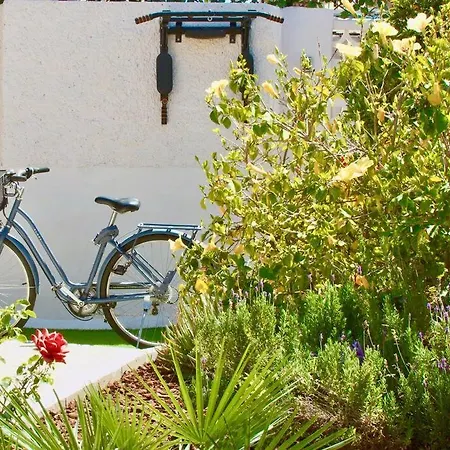 别墅 Entire By The Sea With Private Garden And Mini Pool 托雷维耶哈