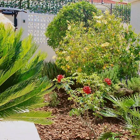 Entire By The Sea With Private Garden And Mini Pool Villa *
